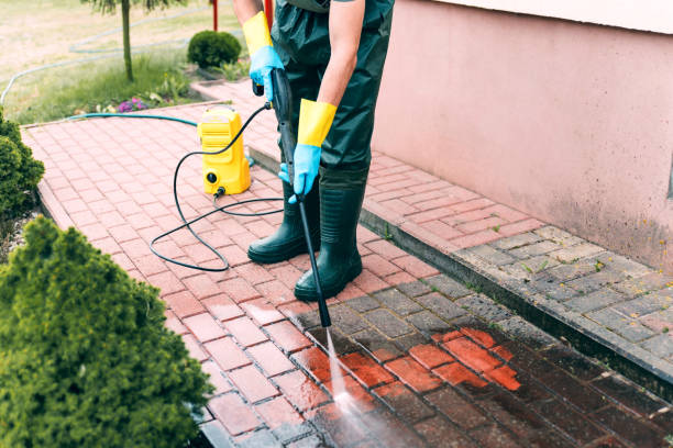 Best Fence Cleaning  in Dunnellon, FL